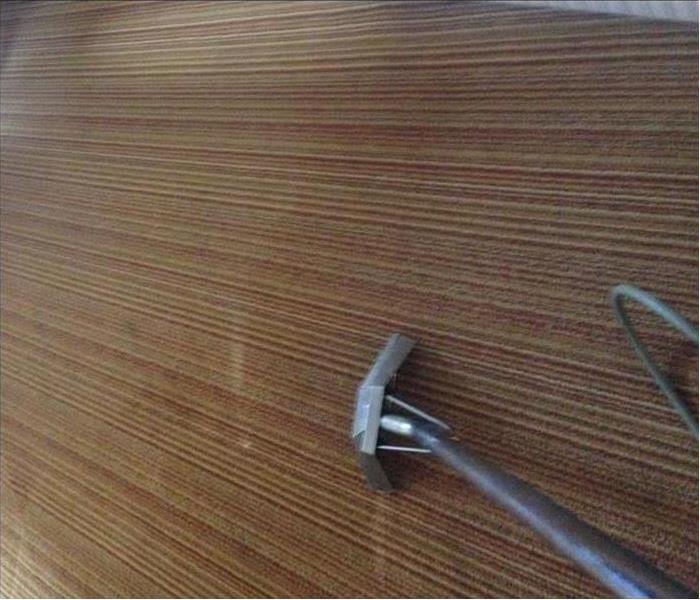 vacuum brown surface carpet floor